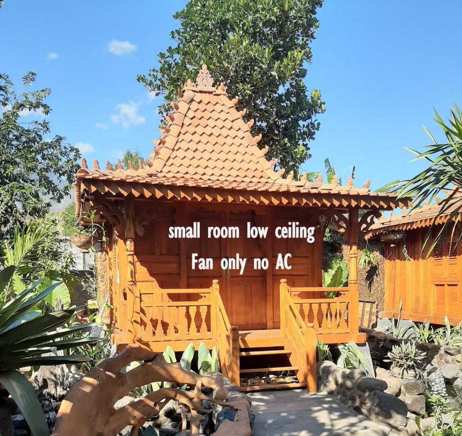 Hibiscus House Pemuteran Bali Hotel Exterior photo